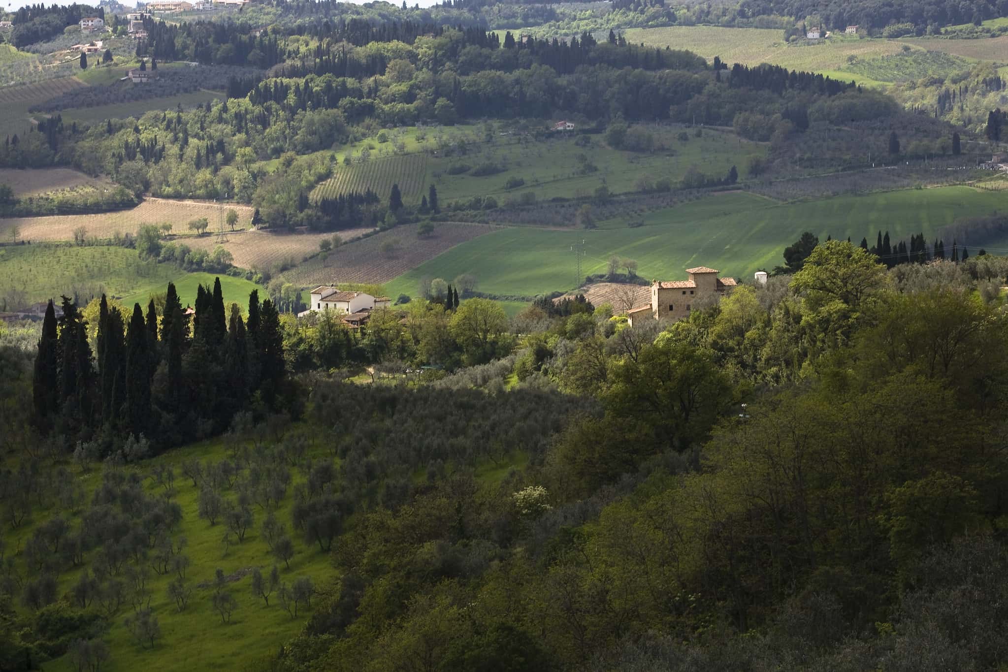 Niccolo Machiavelli Facts