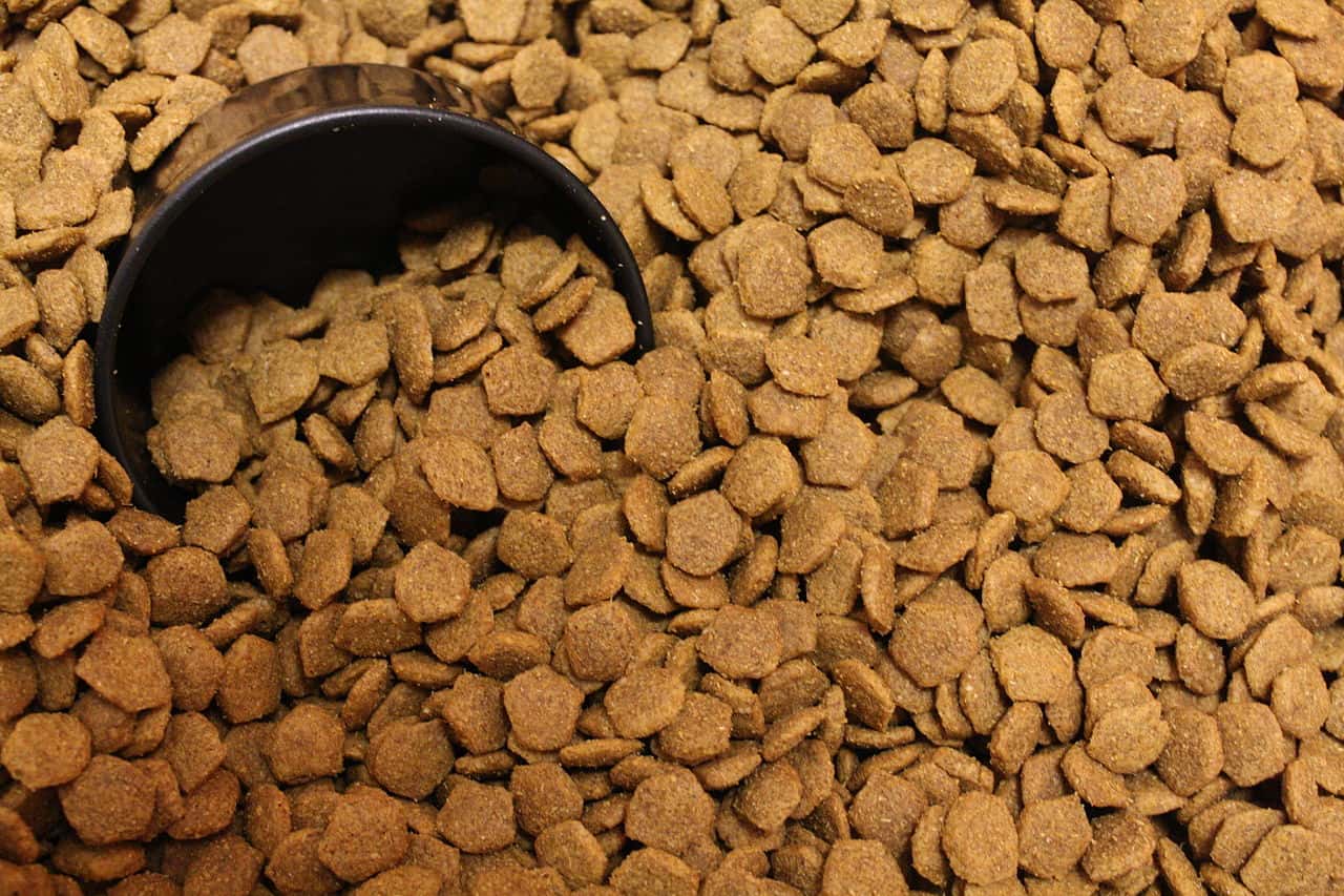 Acts Of Kindness Facts