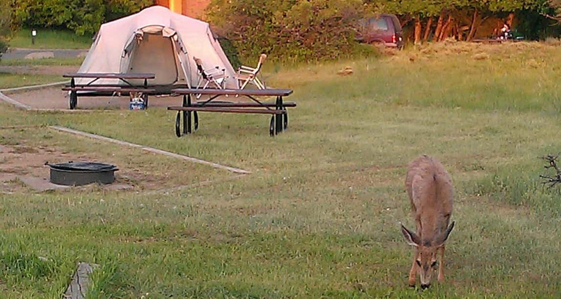 Hunters in the Woods facts