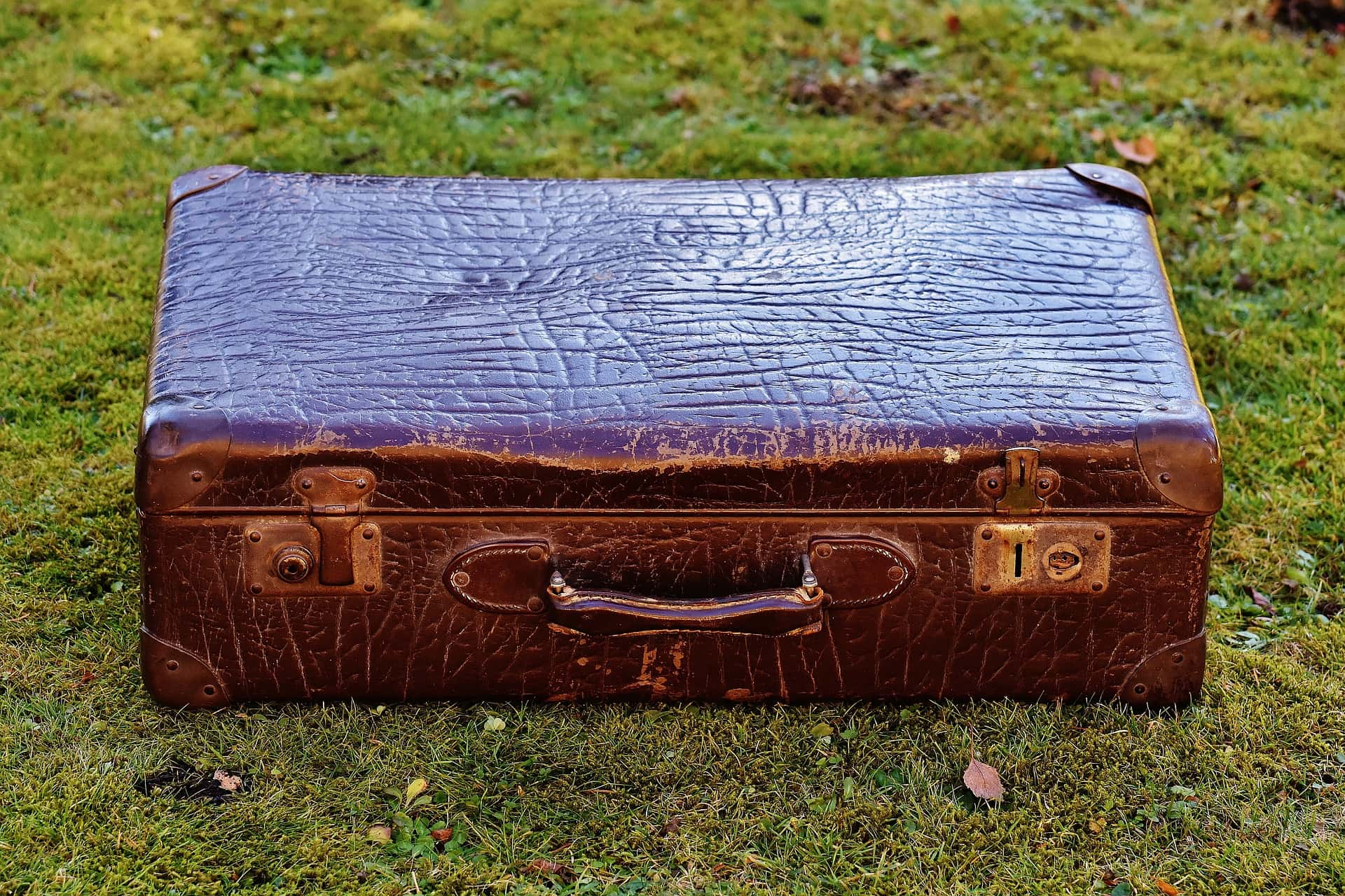 True Urban Legends facts