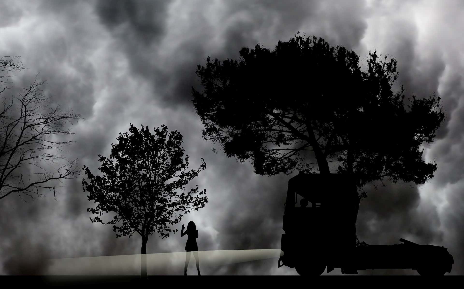 Truckers Witnessed On The Road facts