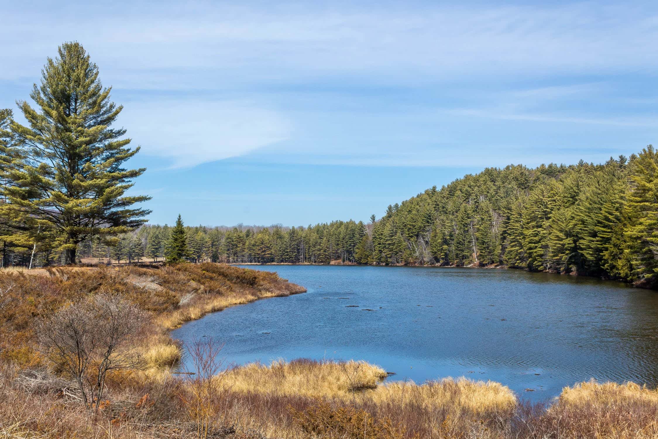 New York State Facts