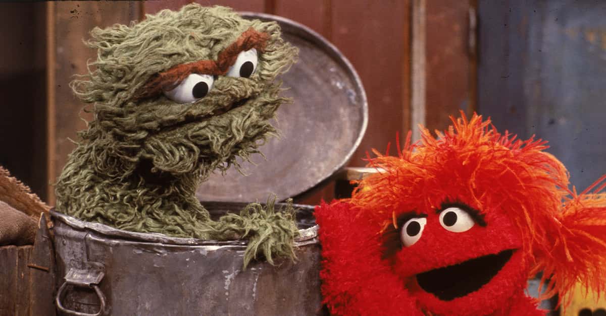 Sunny Facts About Sesame Street, Every Child's Favorite Show