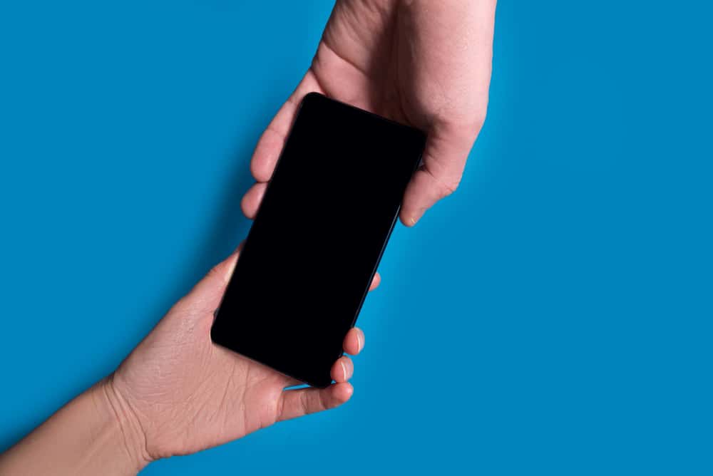 Significant Other Was "The One Facts