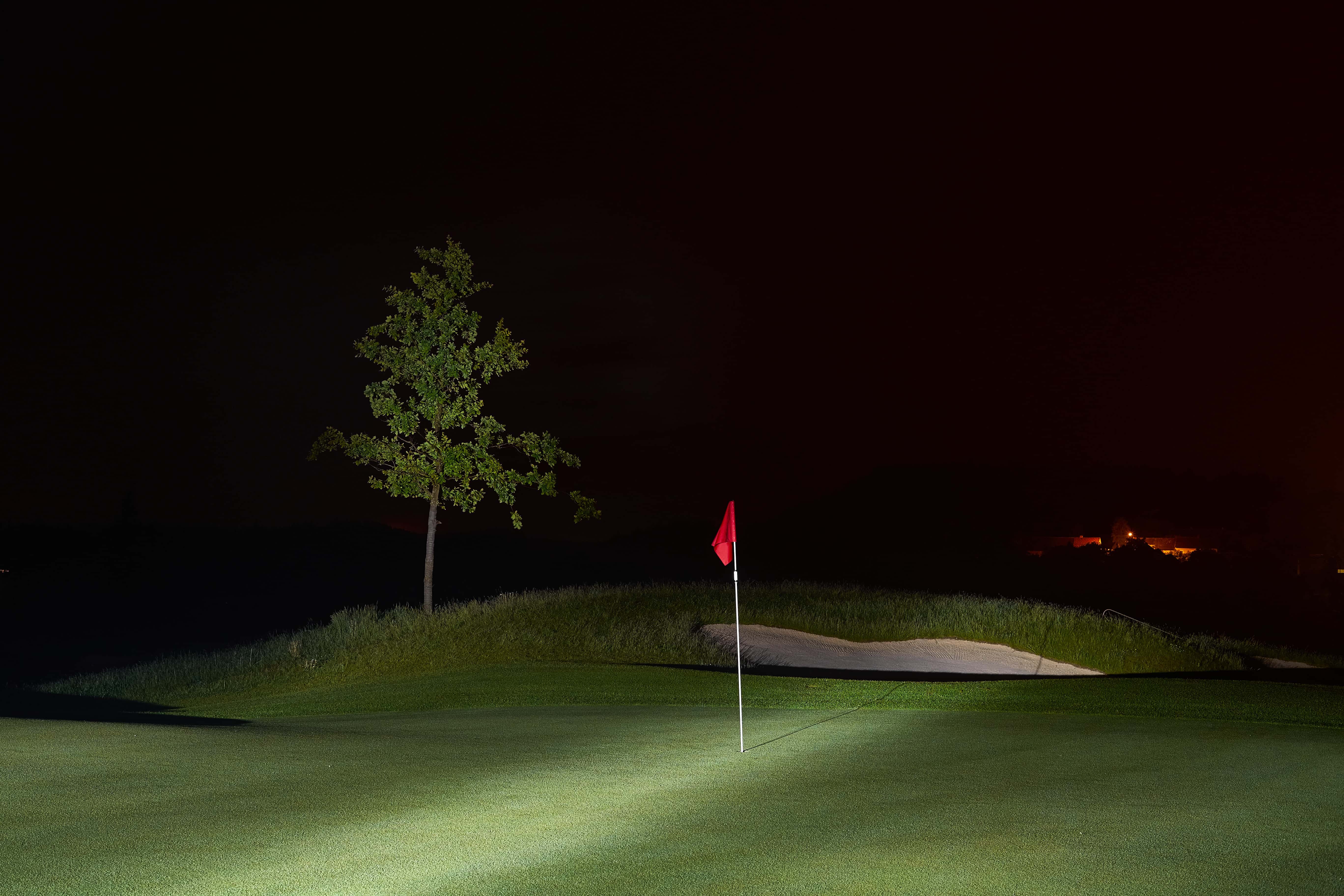 Genius Criminals Facts