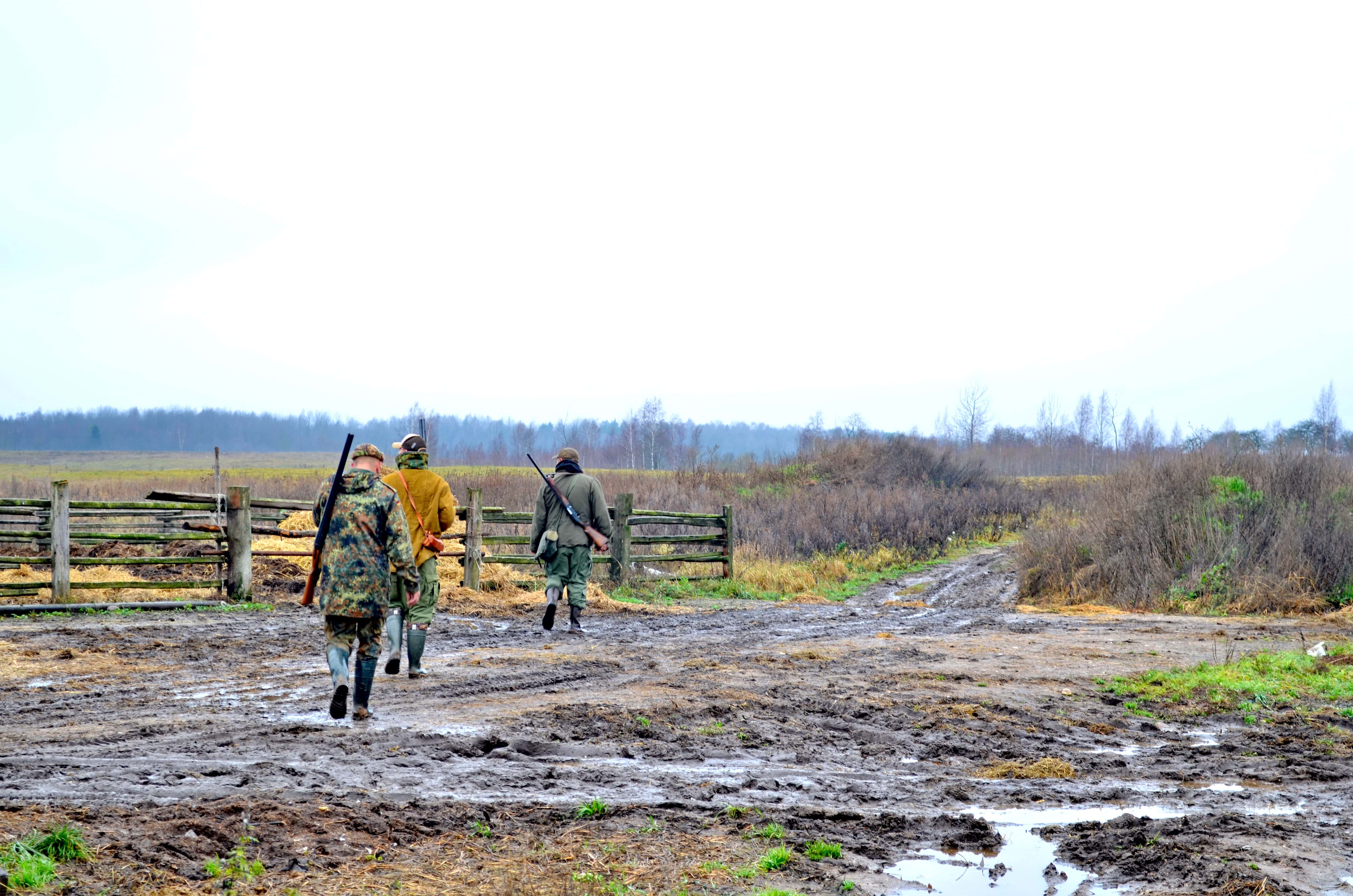 Hunters in the Woods facts