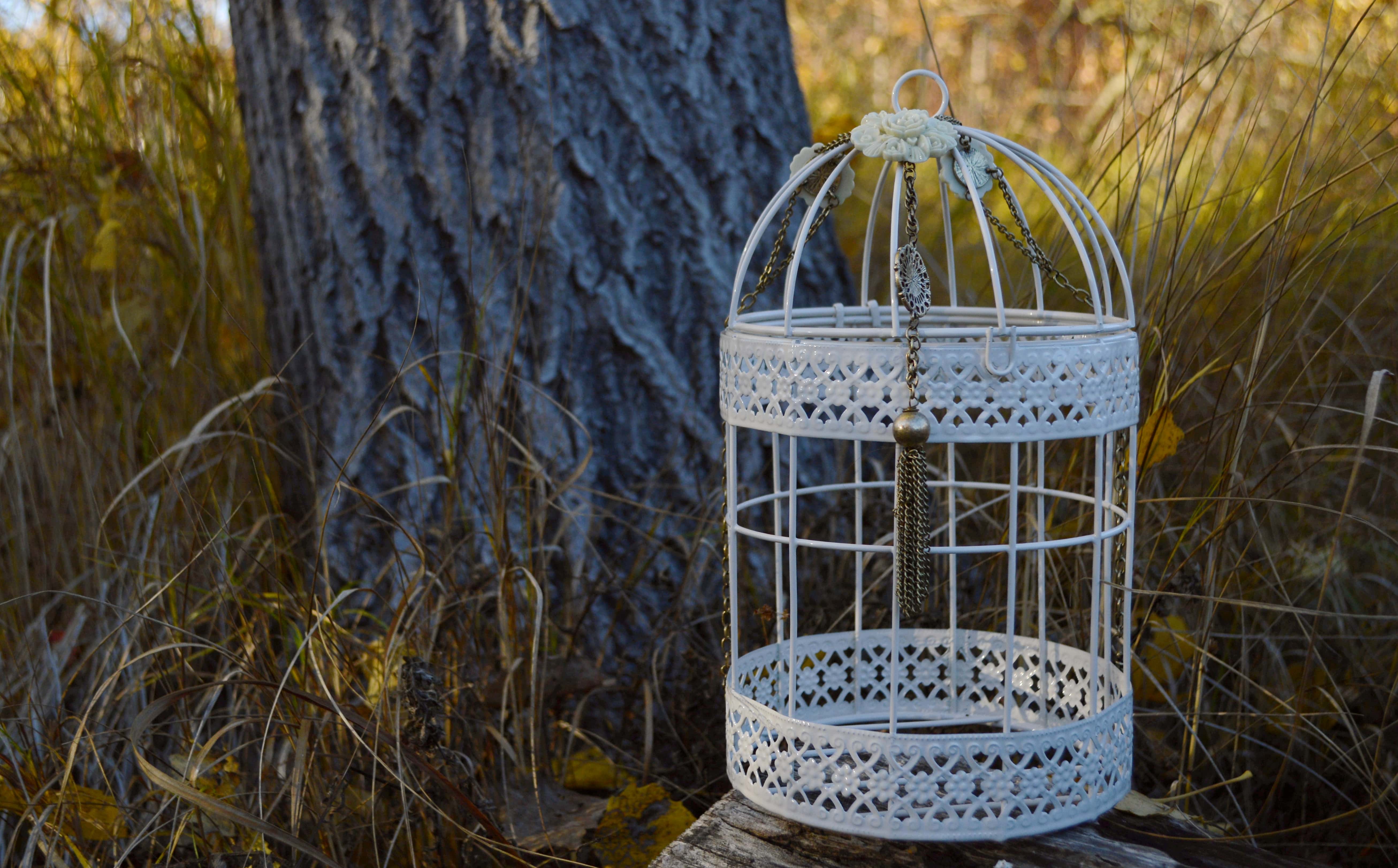 Hunters in the Woods facts