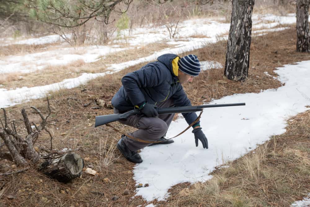 Hunters in the Woods facts