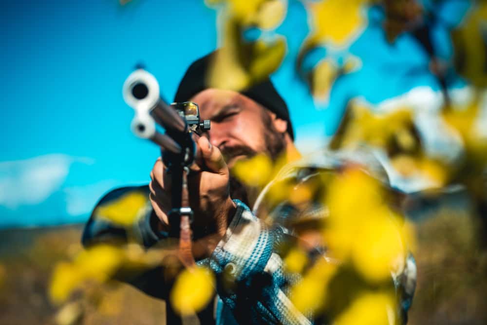 Hunters in the Woods facts