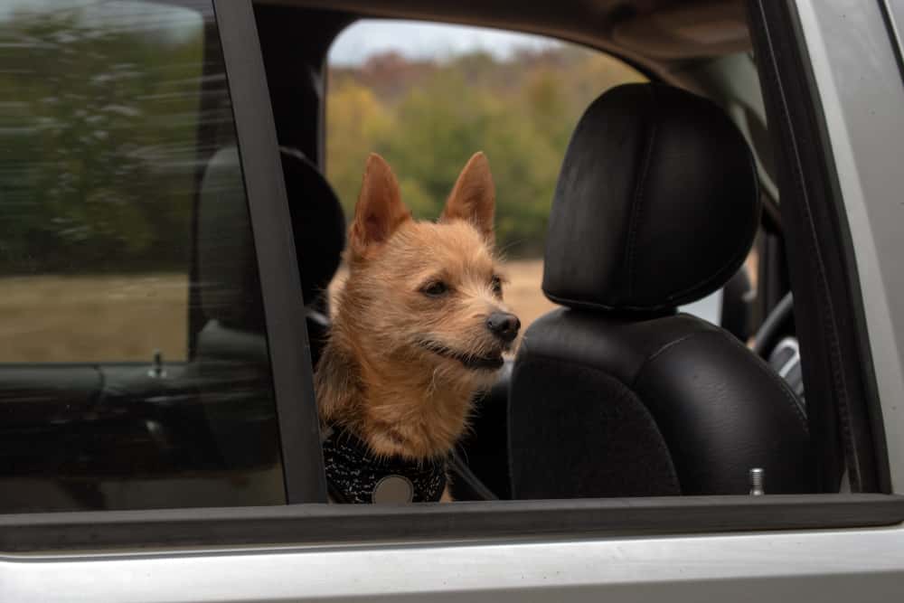 Disturbing True Story Facts