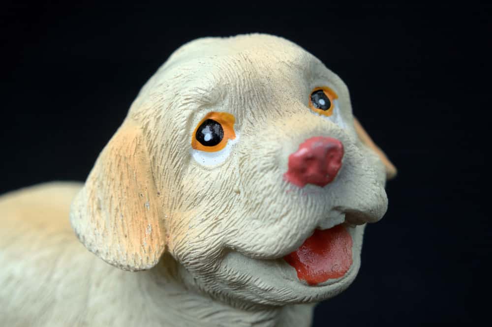 That Happened Classroom Facts