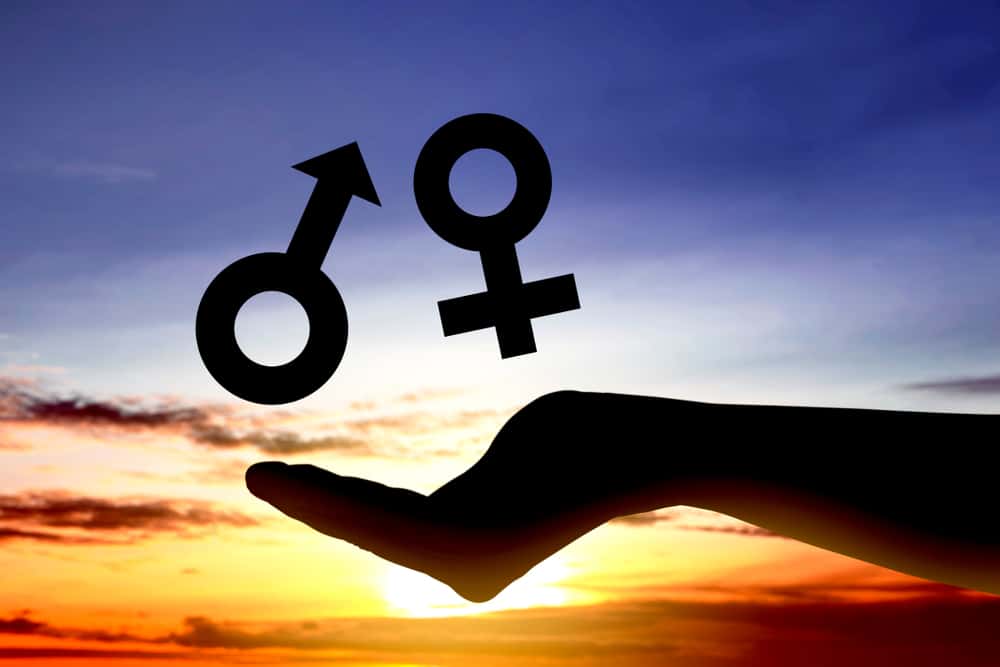 Susan B. Anthony facts