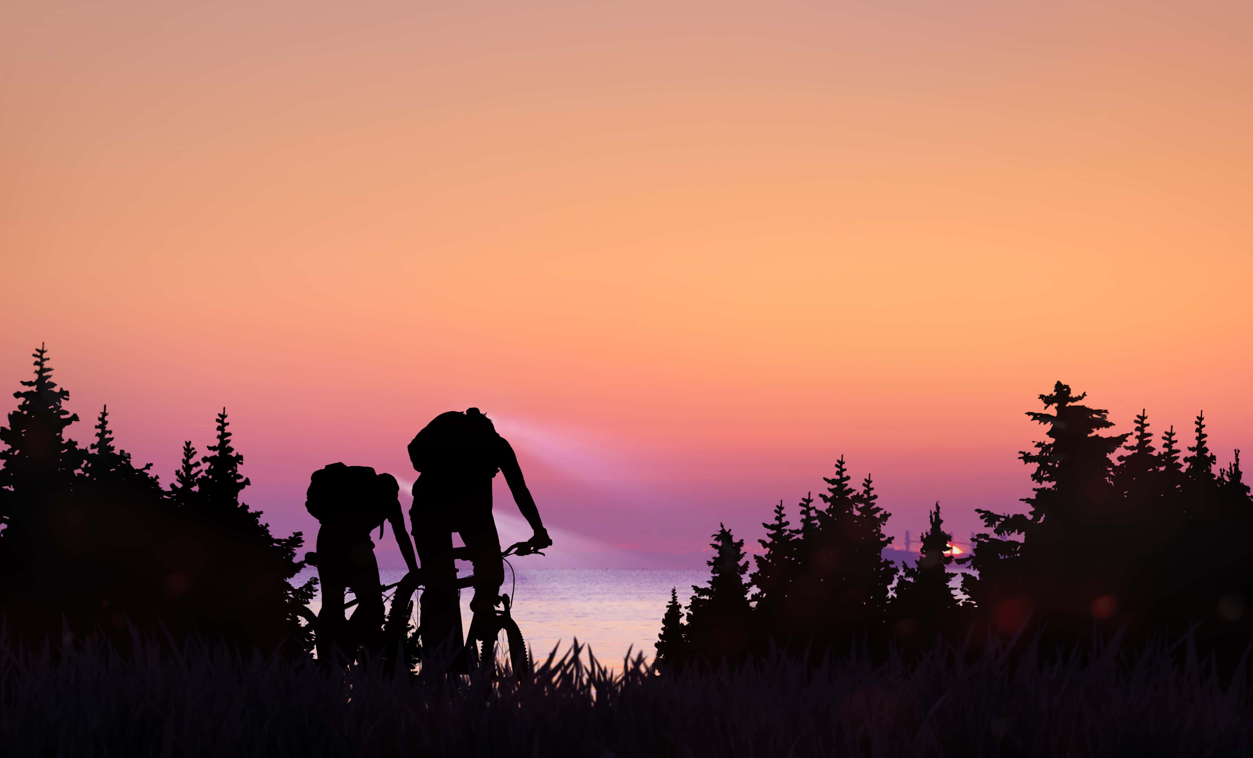 Hunters in the Woods facts