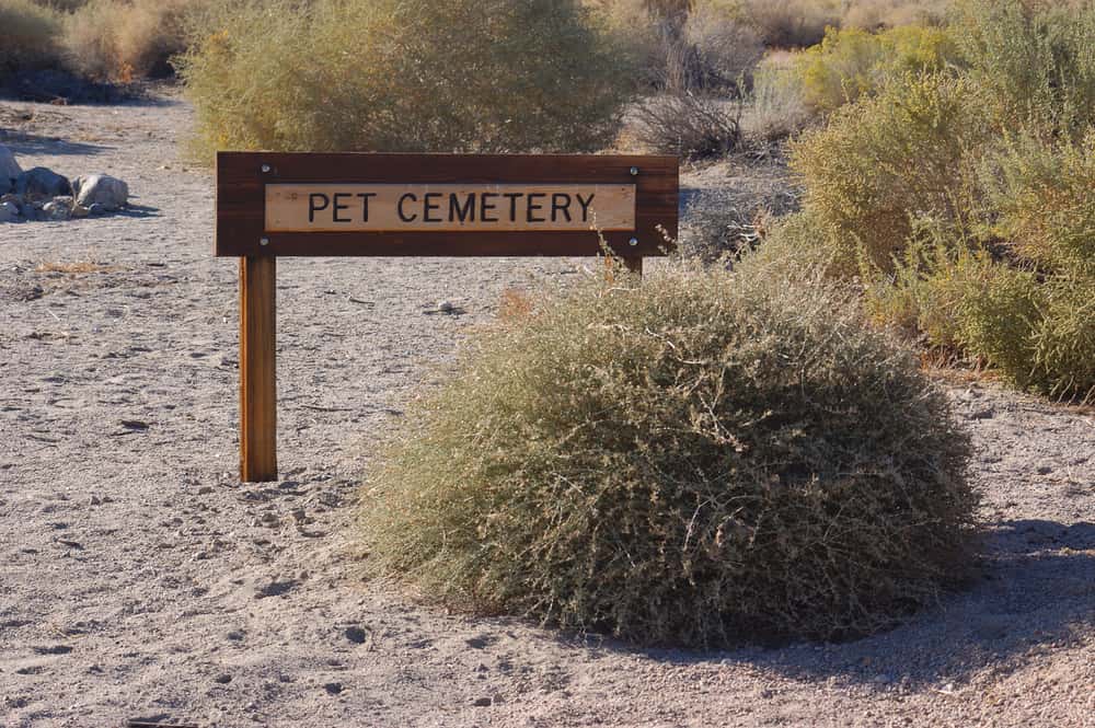 New York State Facts