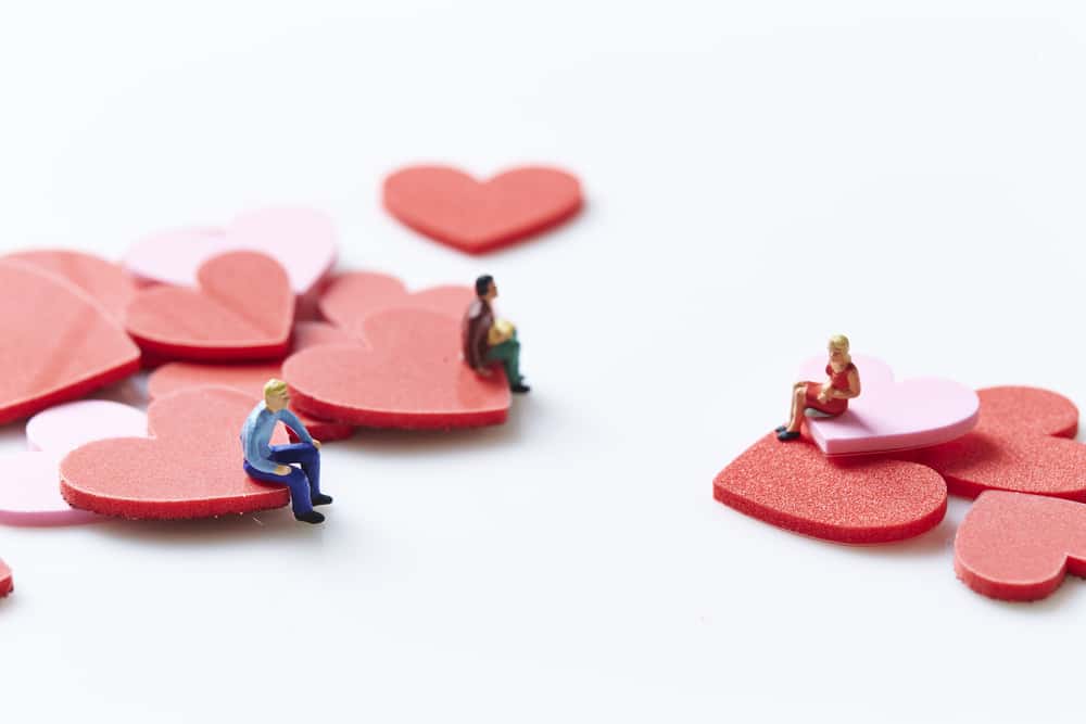 Julie d'Aubigny Facts