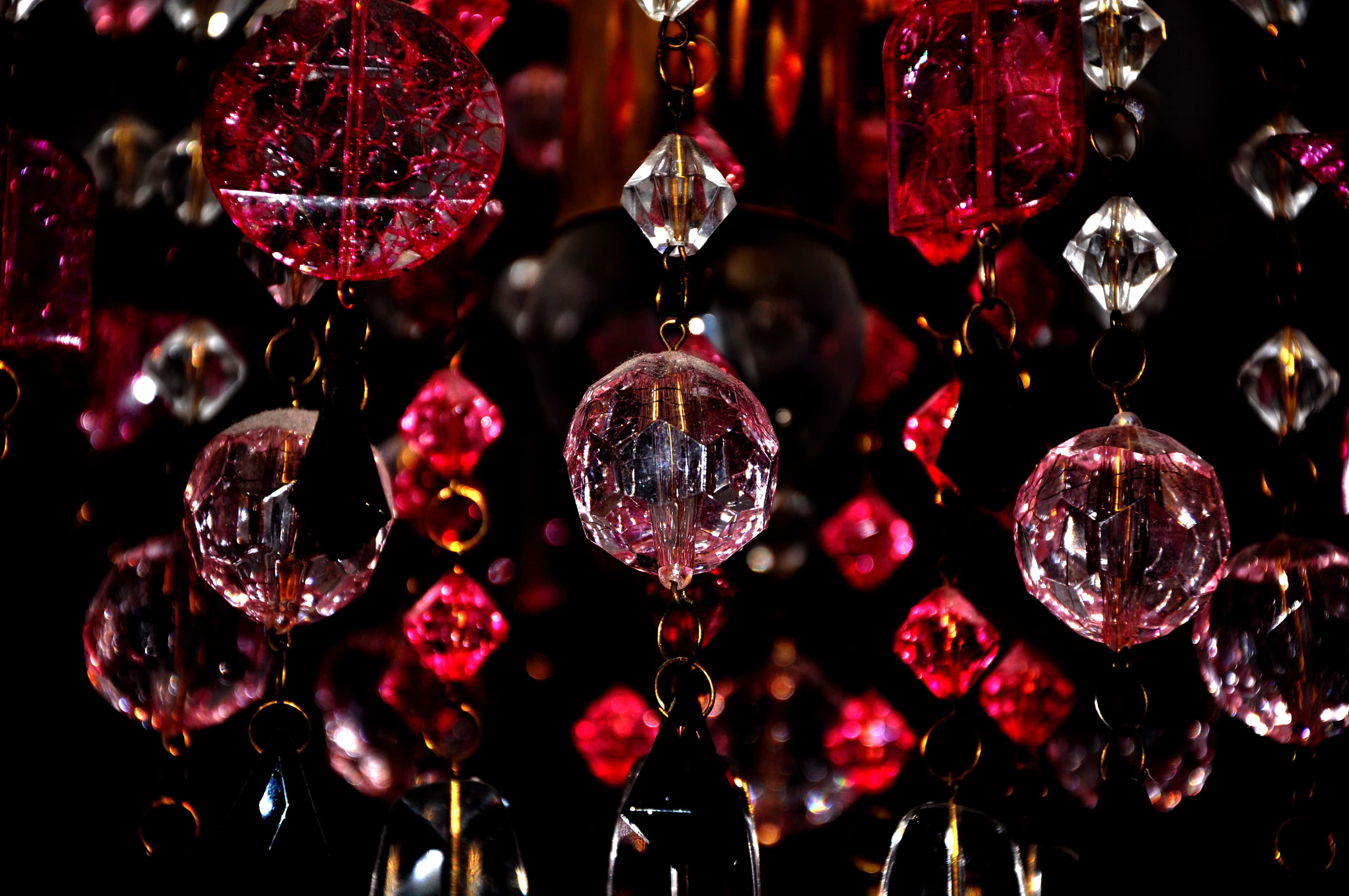 Hunters in the Woods facts