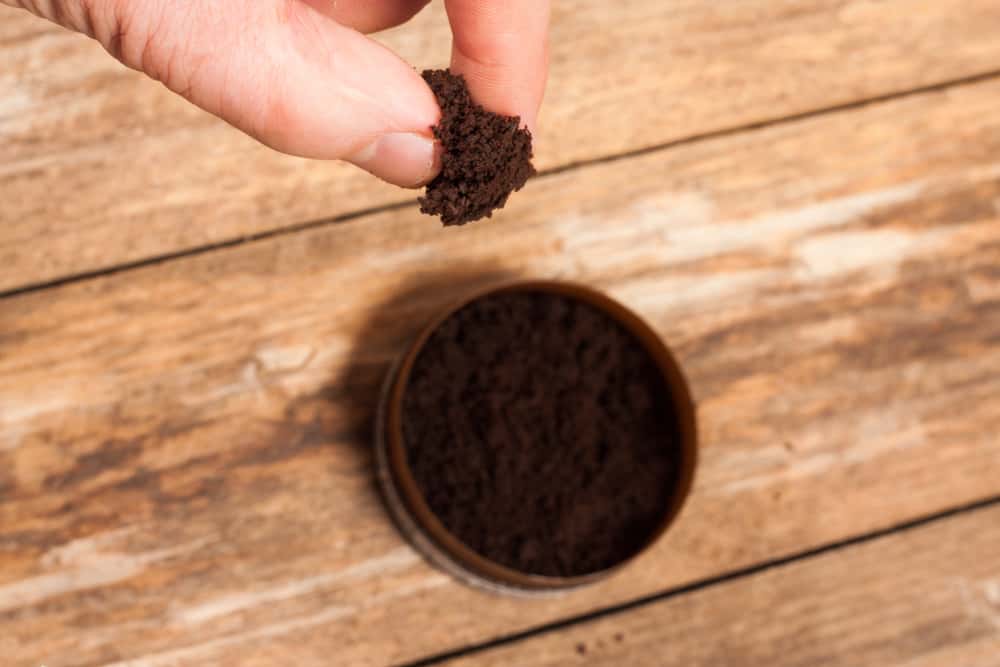 Disrespectful at Home Facts