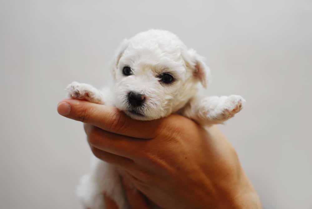 Memorable Stranger Facts