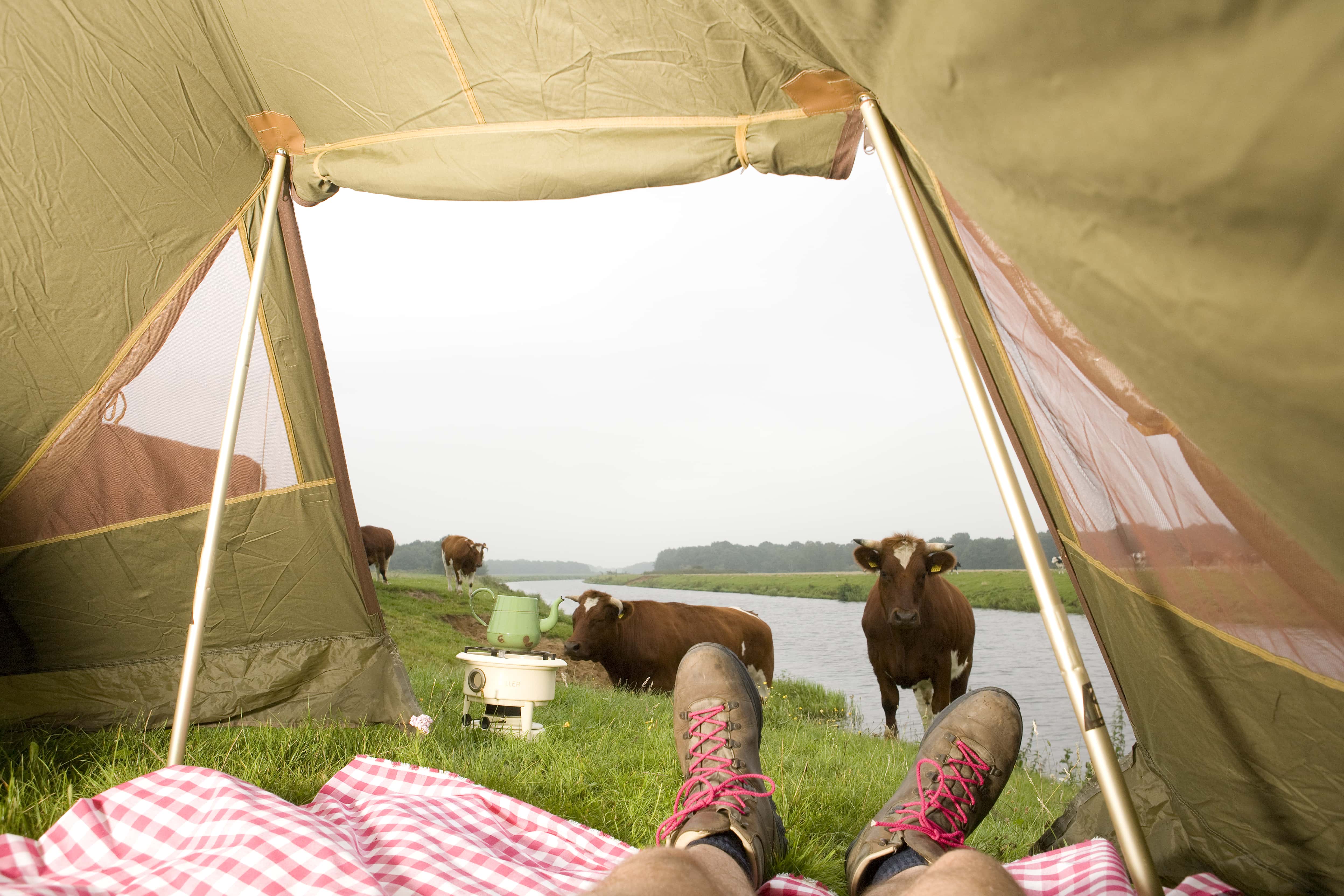 Hunters in the Woods facts