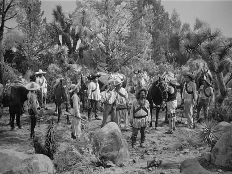 Robert Redford facts