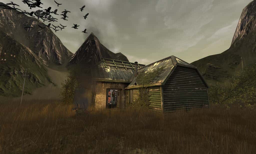 I’m In A Cult facts