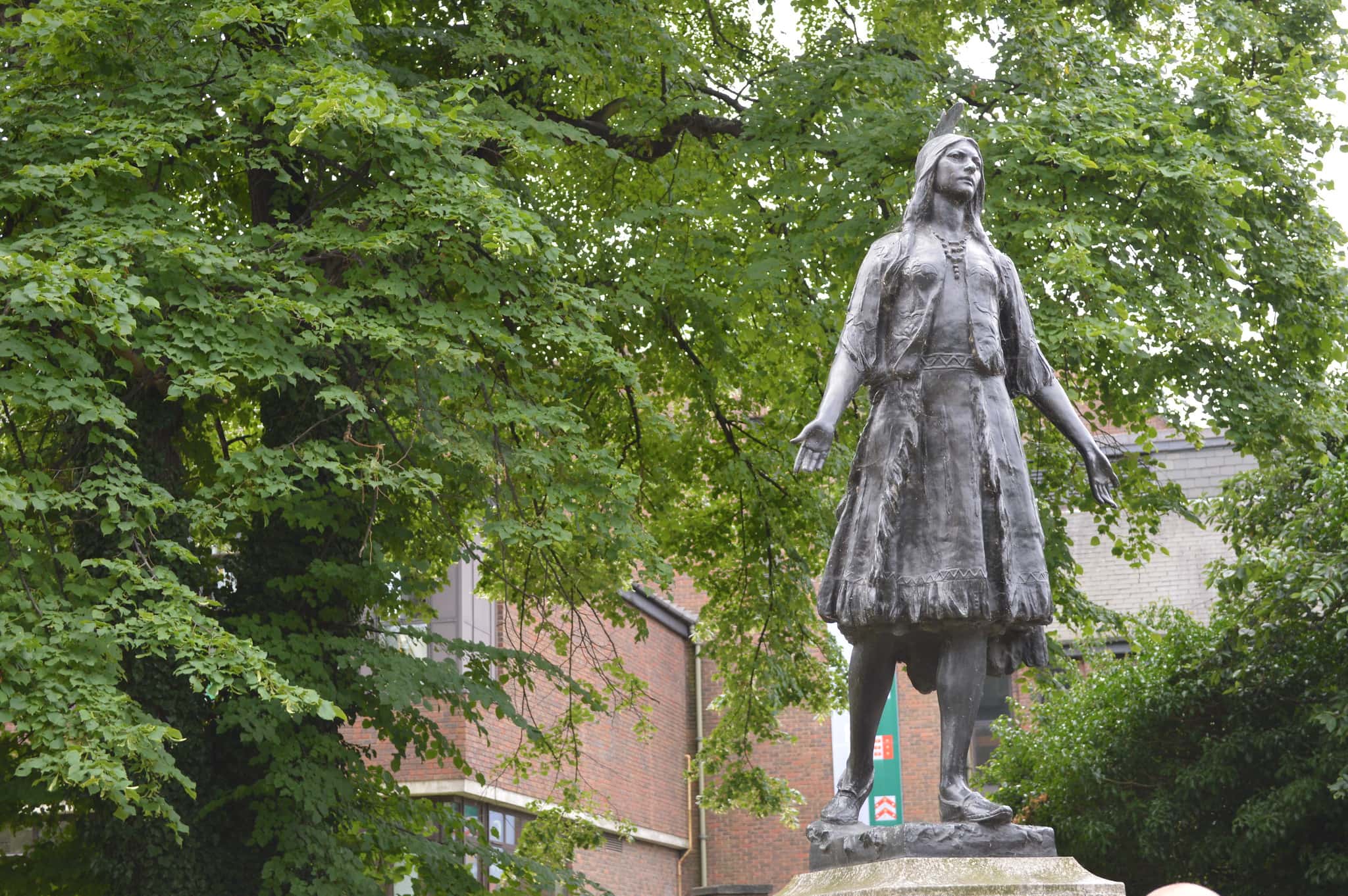 Surrounded by Idiots Facts