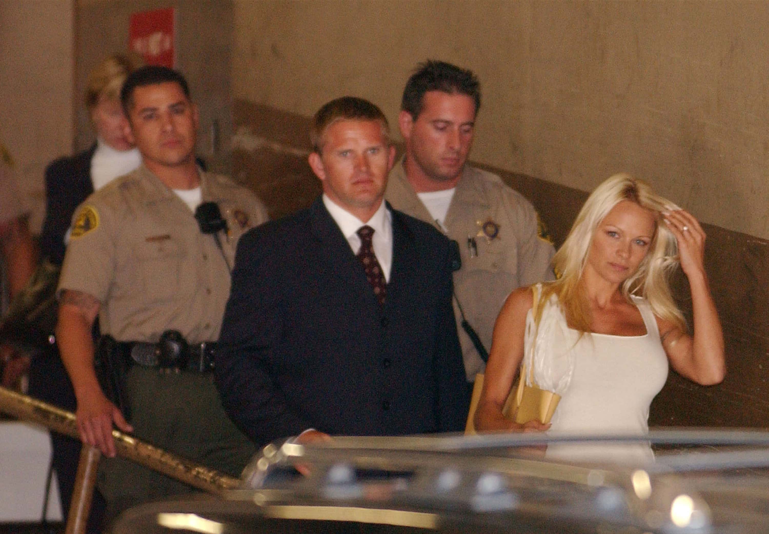 Pamela Anderson & Tommy Lee Custody Case