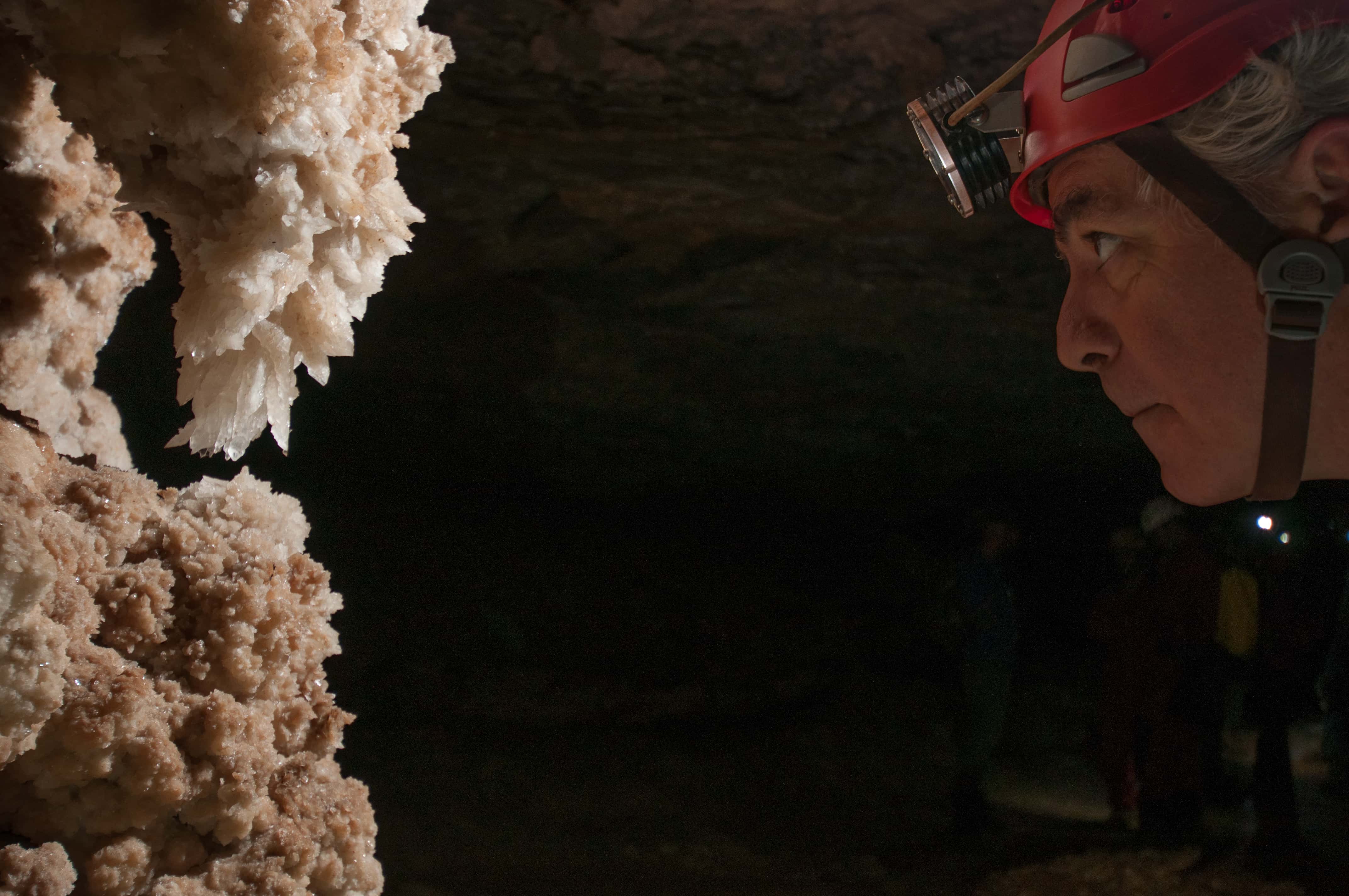 Stupid Tourists Facts