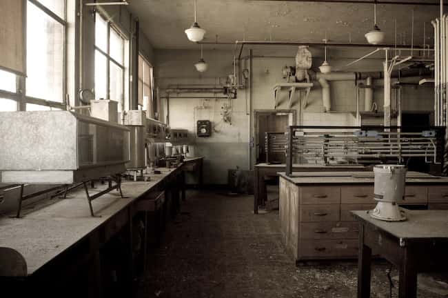 Stupid Tourists Facts