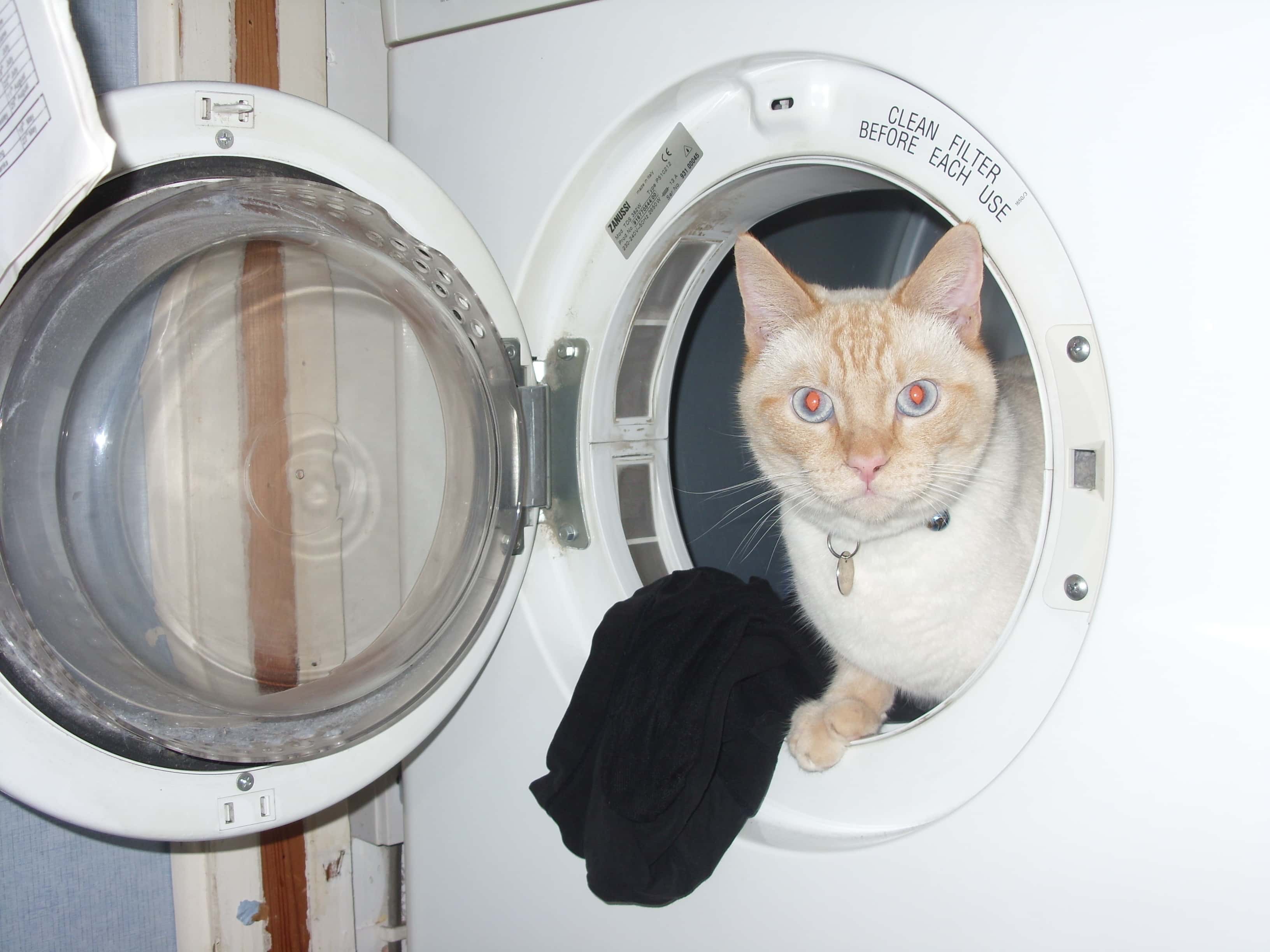 Narrowly Avoided Disaster facts 