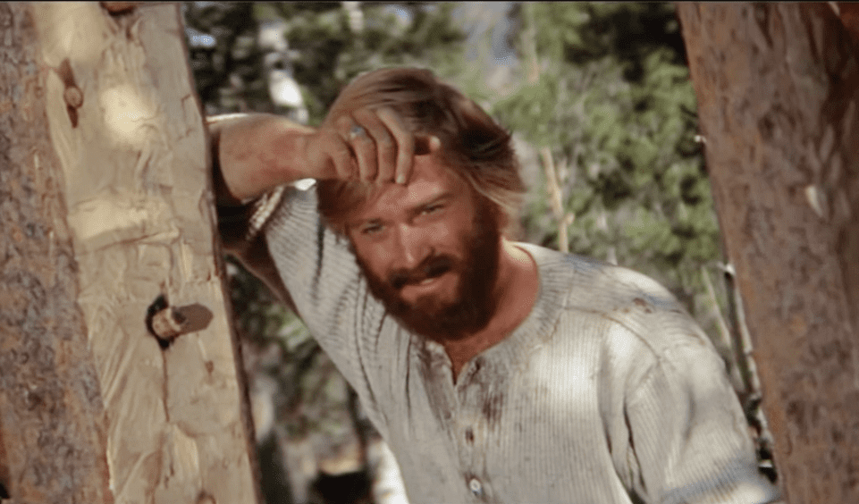 Robert Redford facts