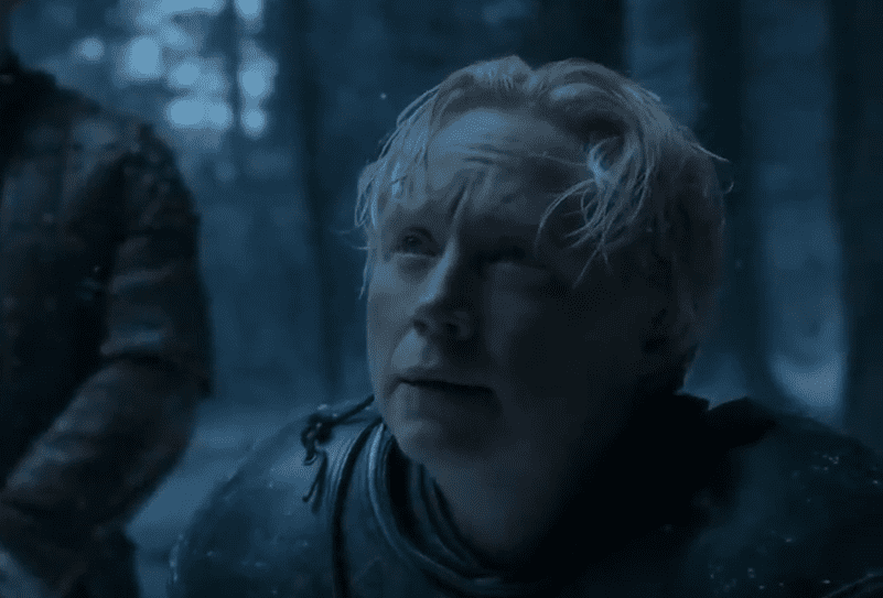 Brienne of Tarth Facts