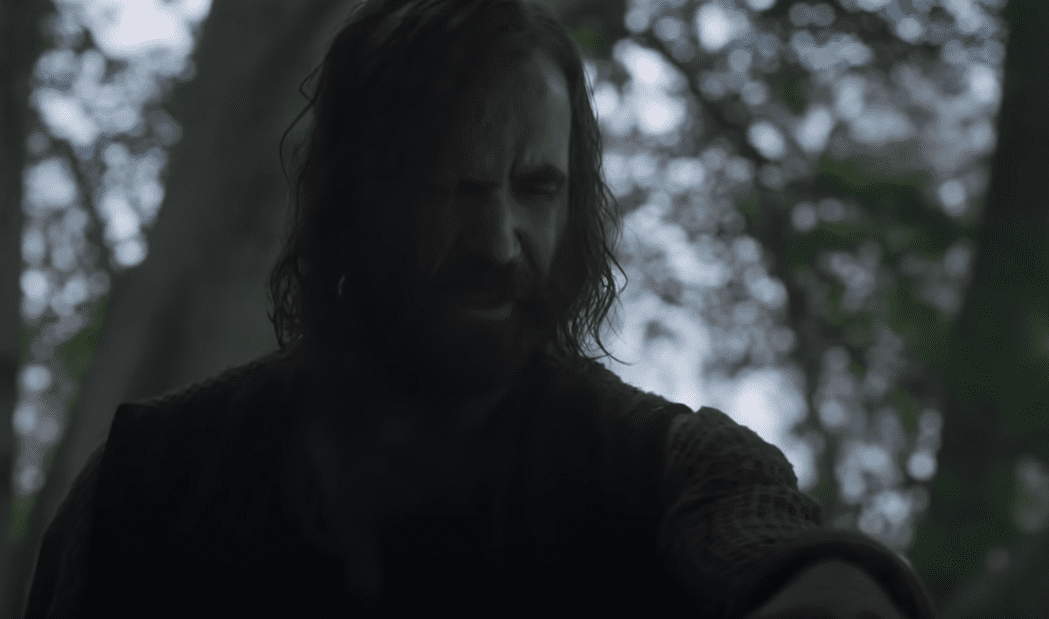 Brienne of Tarth Facts