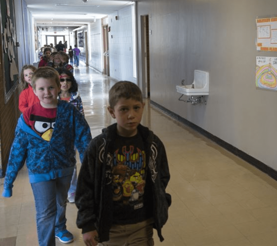 Stupid Tourists Facts