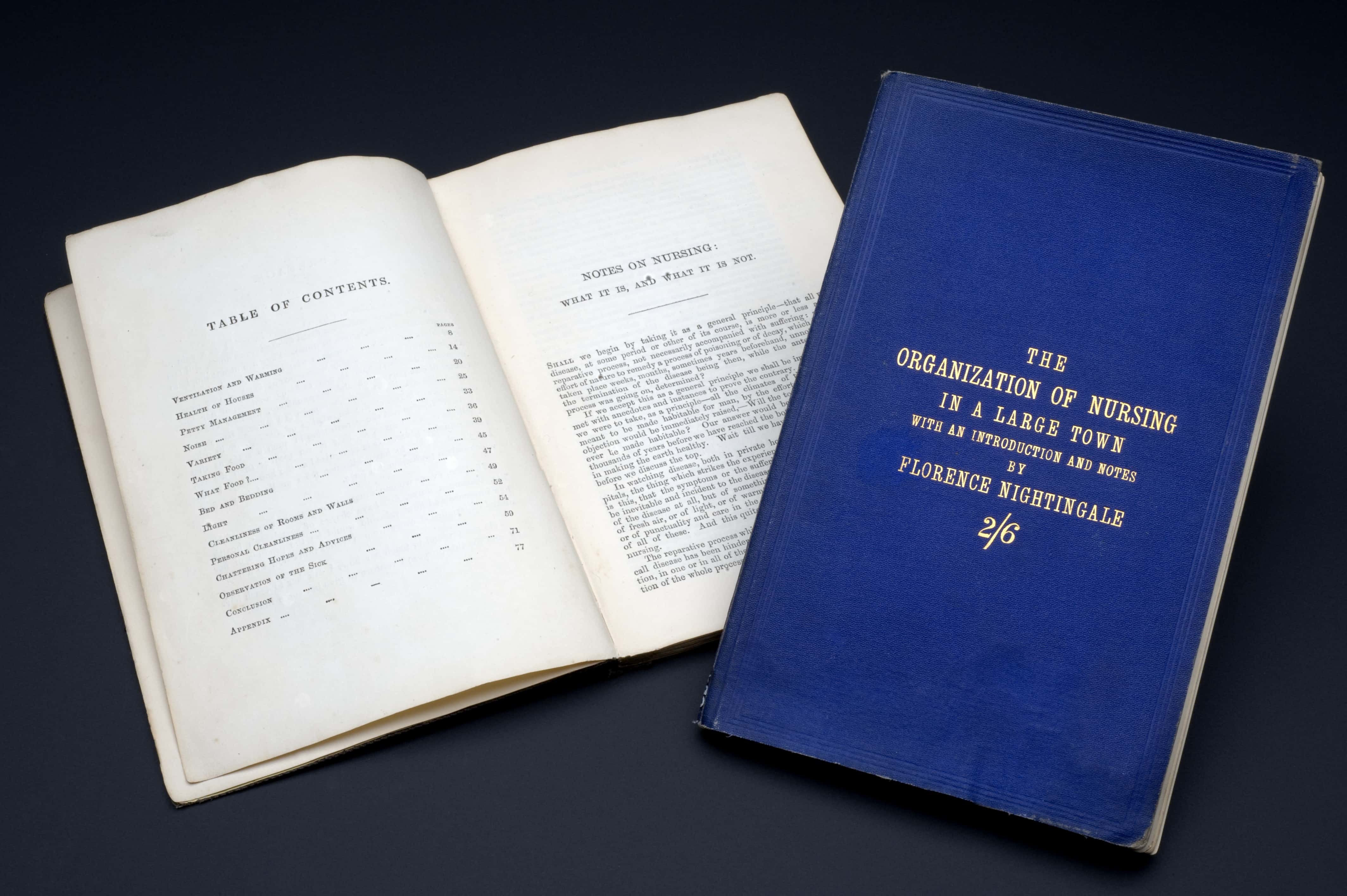 Florence Nightingale Facts