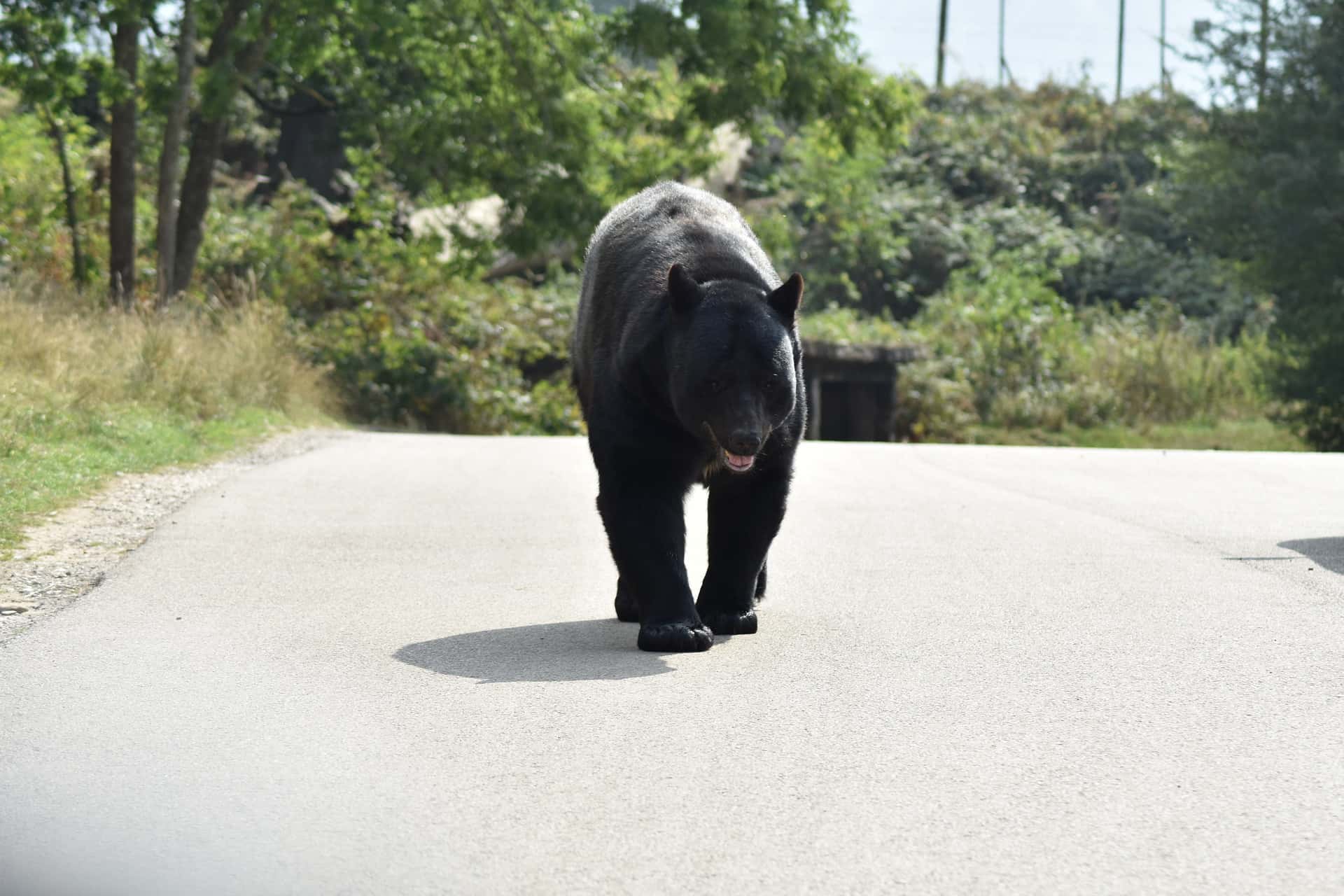 Moments That Changed Their Lives facts