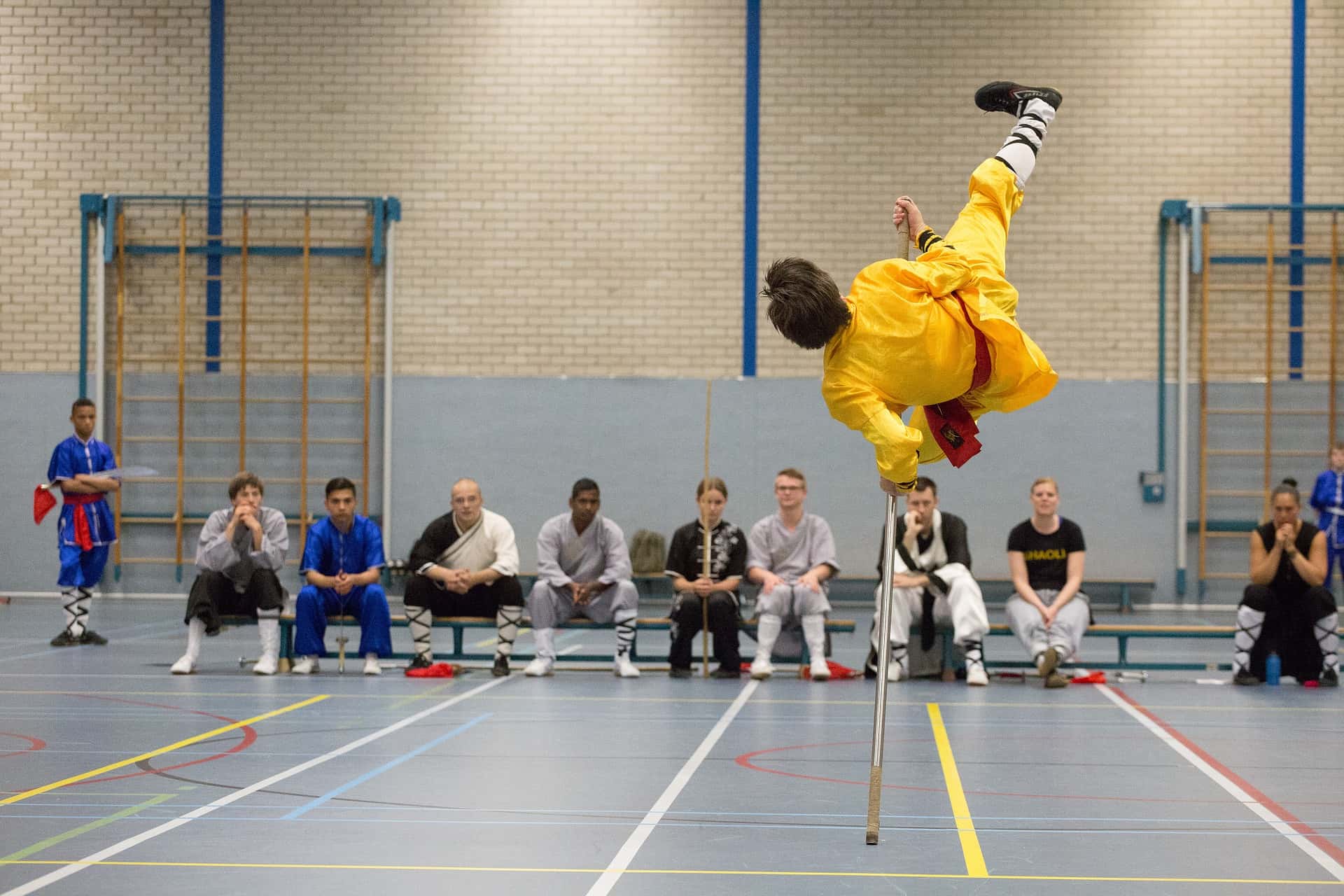 I’m In A Cult facts