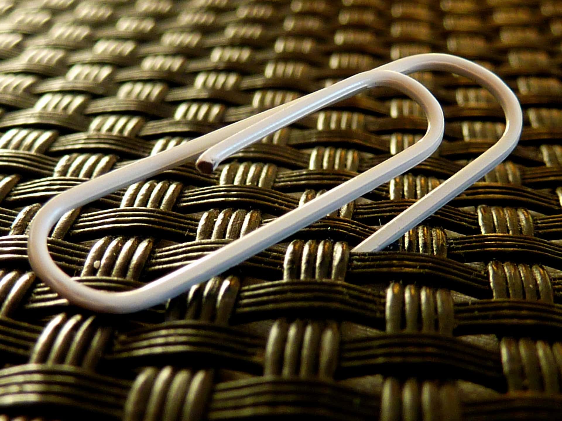 Craziest Things Admirers Have Done To Impress facts