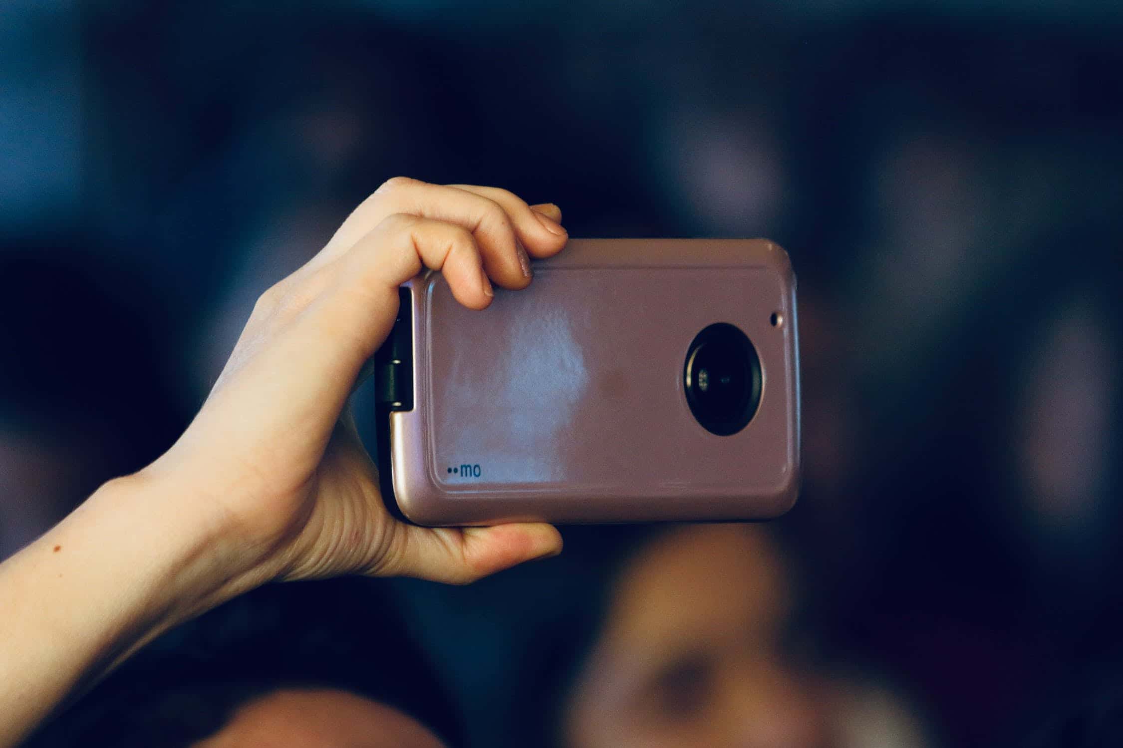 Stupid Tourists Facts