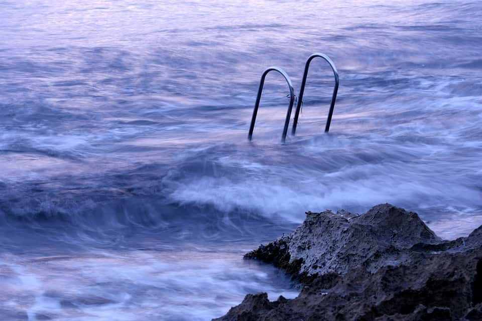 Stupid Tourists Facts