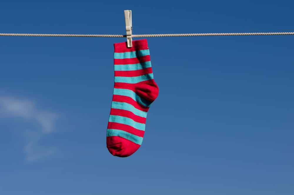 Not The Brightest Kids Facts