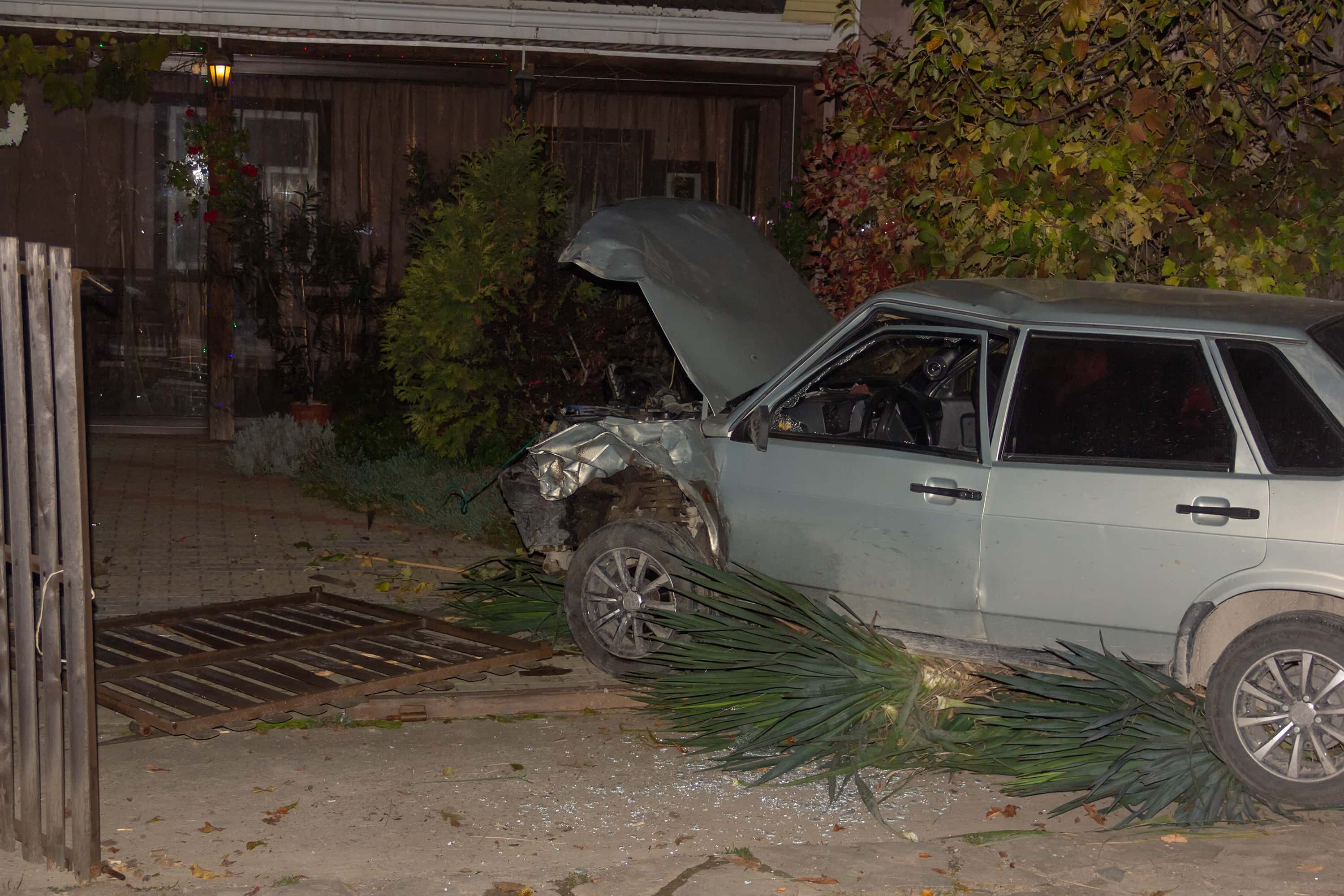 Caught on Home Security Cameras facts