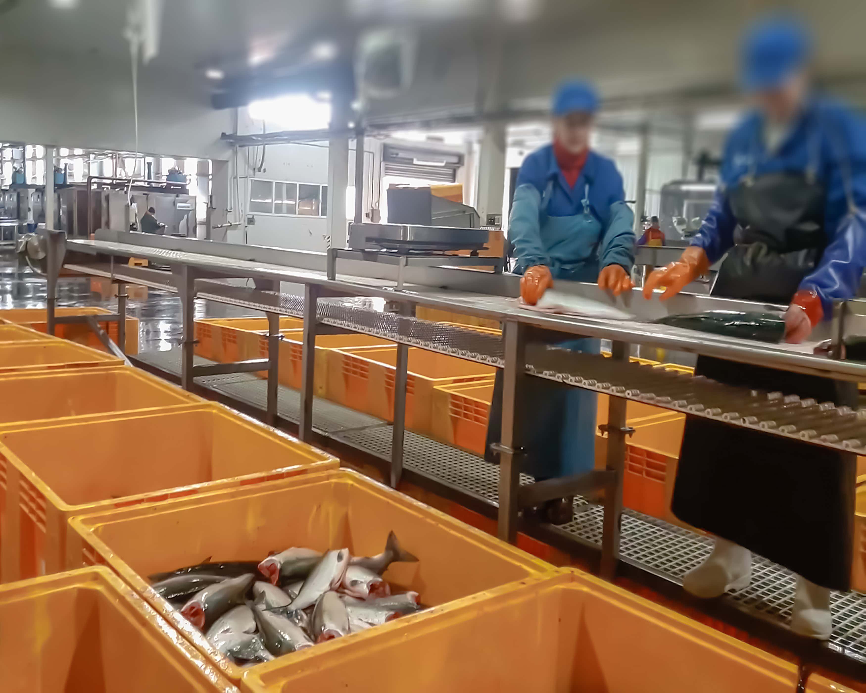 Their Biggest Workplace Mistakes facts