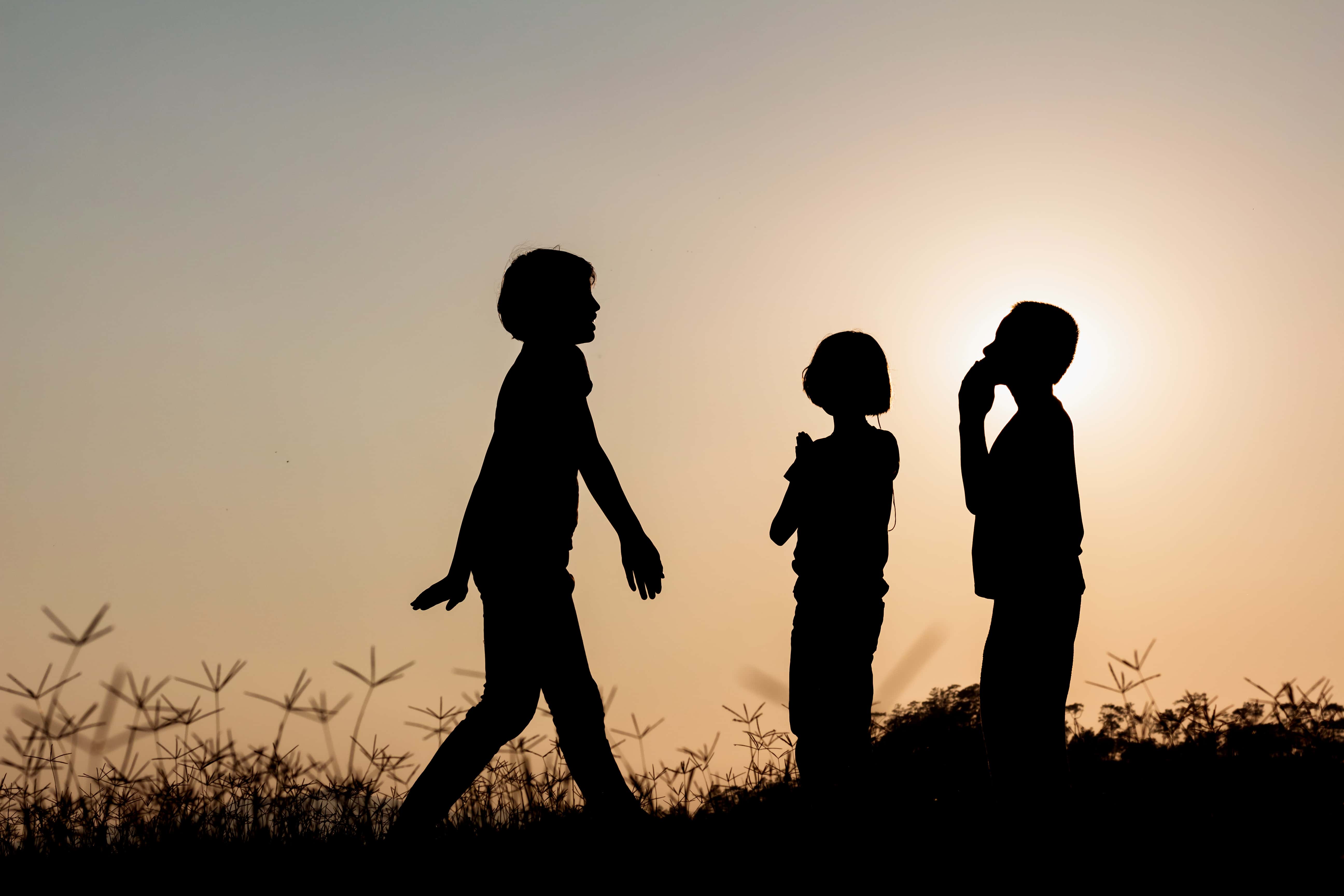 Biggest Secrets facts