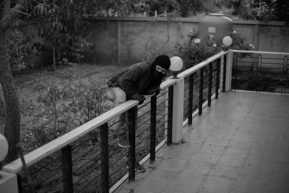 Caught on Home Security Cameras facts