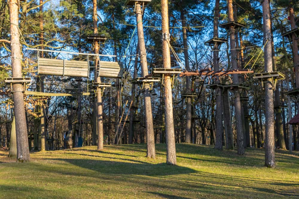 Macho Moments Gone Wrong Facts