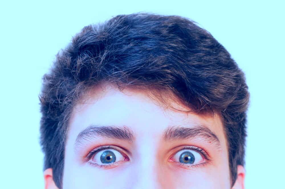 Pilot Mistakes Facts