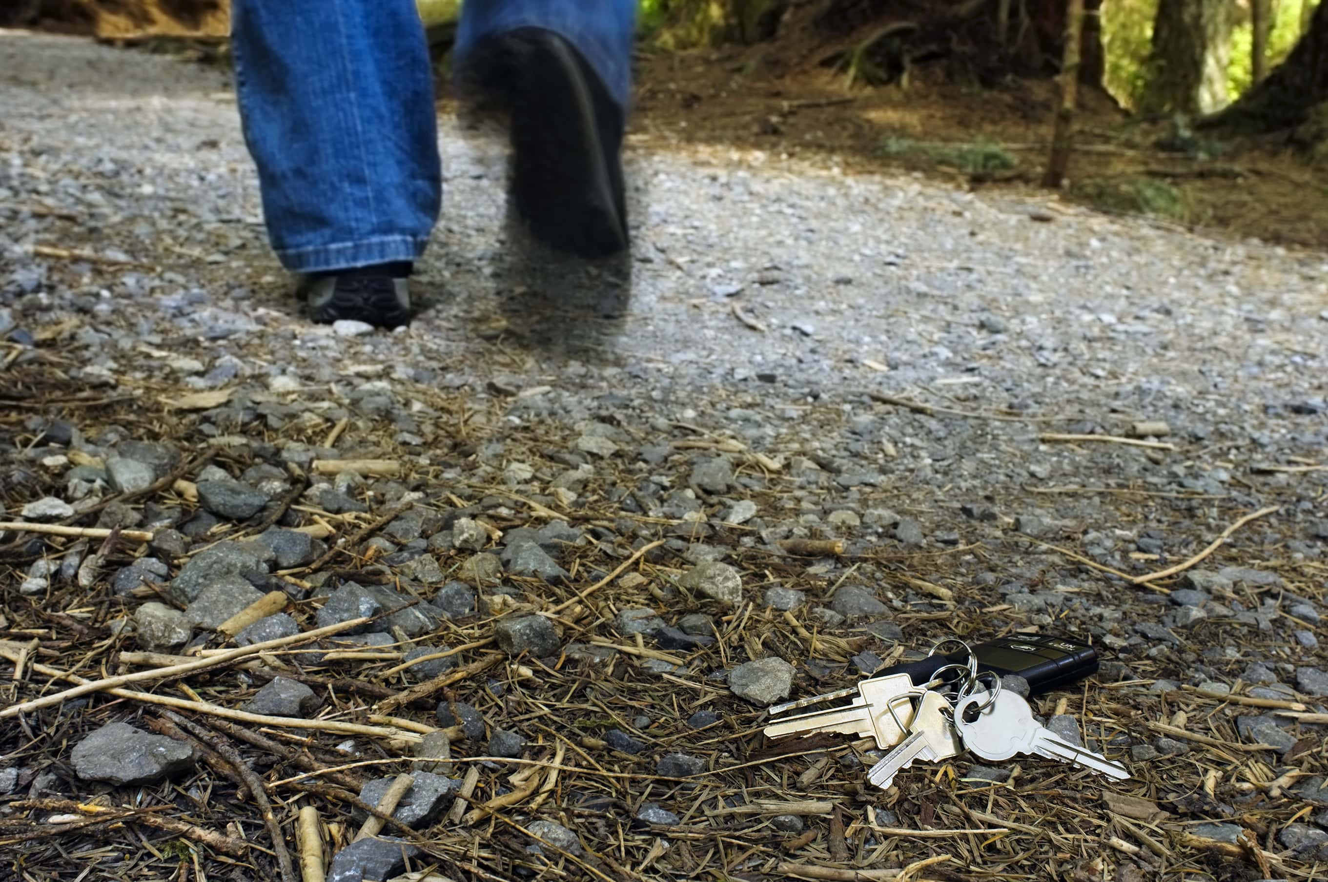 Luck Was On Their Side facts