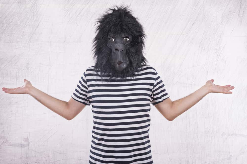 Dumbest Person Facts