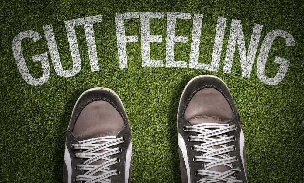 Speak to the Manager Facts